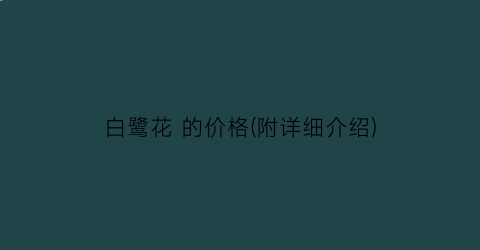 白鹭花 的价格(附详细介绍)